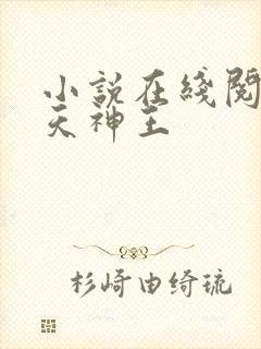 小说在线阅读霸天神王