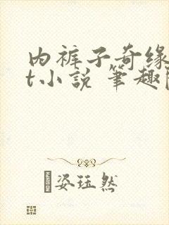 内裤子奇缘txt小说 笔趣阁