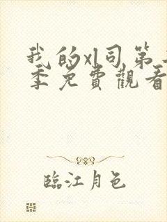 我的xl司第二季免费观看全集动漫封面