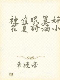 被催眠暴奸的校花夏诗涵小说