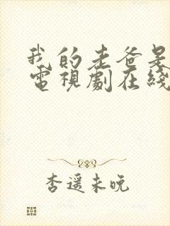 我的老爸是奇葩电视剧在线播放