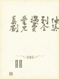 真爱遇到他电视剧免费全集免费播放