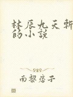 林辰九天斩神诀的小说