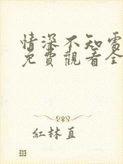 情深不知处短剧免费观看全集高清版