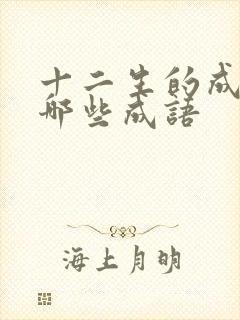 十二生的成语有哪些成语