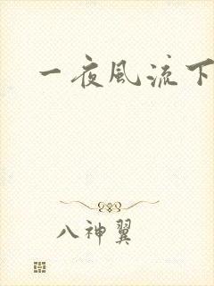 一夜风流下载