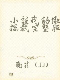 小说我的傲娇女总裁完整版未删减小说