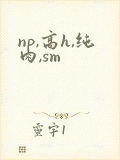 np,高h,纯肉,sm