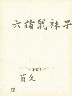 六指鼠袜子图片封面