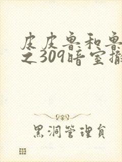 皮皮鲁和鲁西西之309暗室撤档封面
