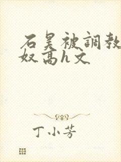 石昊被调教成肉奴高h文