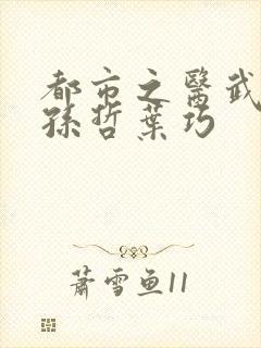 都市之医武风流孙哲叶巧