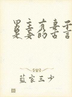 男主有妻子女主是妾的古言