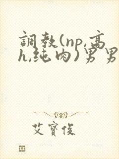 调教(np,高h,纯肉)男男