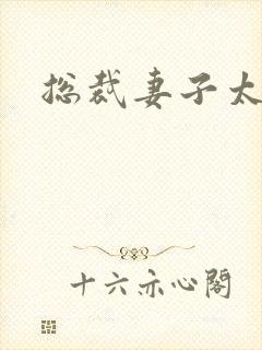 总裁妻子太诱人