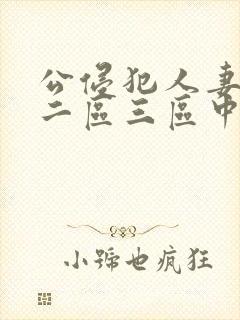 公侵犯人妻一区二区三区中文字封面