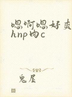 嗯啊嗯好爽啊高hnp肉c