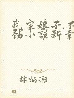 我家娘子,不对劲小说新章节列表