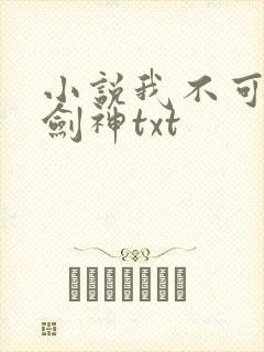 小说我不可能是剑神txt