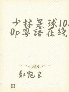 少林足球1080p粤语在线观看