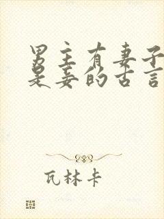 男主有妻子女主是妾的古言