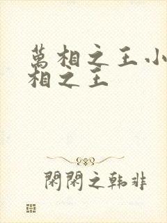 万相之王小说万相之王