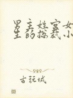 男主姓宫女主重生的总裁小说