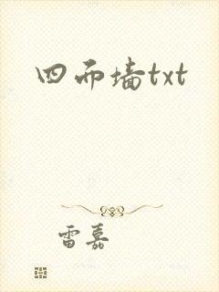 四面墙txt