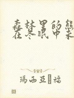 森林里的熊先生在冬眠中未增