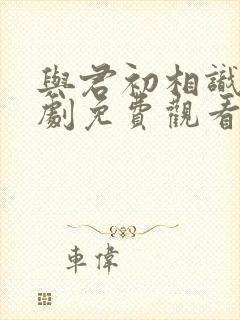 与君初相识电视剧免费观看西瓜