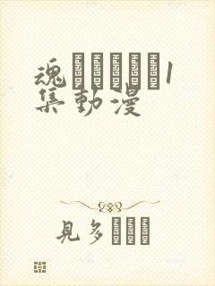 魂インサート1集动漫封面