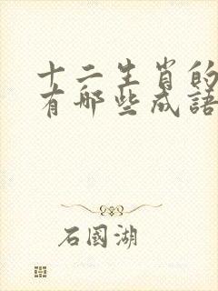 十二生肖的词语有哪些成语封面