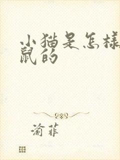小猫是怎样抓老鼠的封面