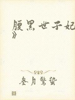 腹黑世子妃日常》封面