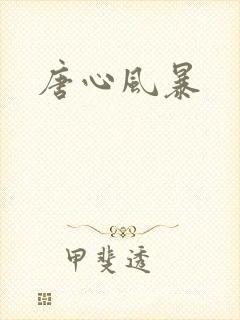 唐心风暴