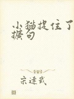 小猫捉住了老鼠扩句