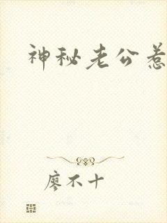 神秘老公惹不起