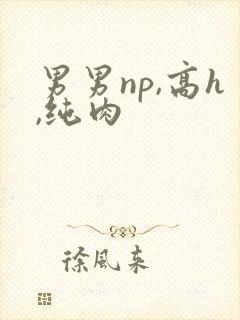 男男np,高h,纯肉
