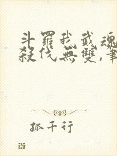 斗罗我武魂进化杀伐无双,笔趣阁