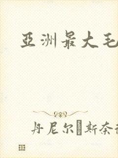 亚洲最大毛片网封面