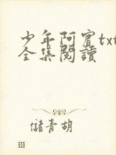 少年阿宾txt全集阅读