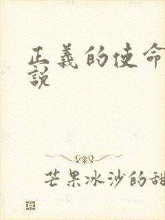 正义的使命 小说