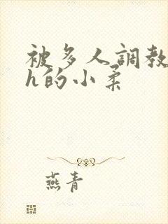 被多人调教失禁h的小柔