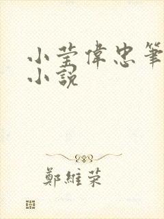 小莹伟忠笔趣阁小说