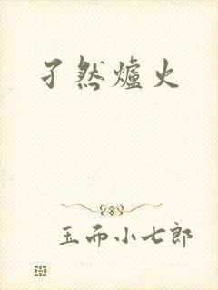 孑然炉火封面