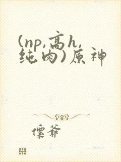 (np,高h,纯肉)原神封面