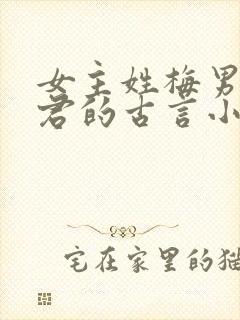 女主姓梅男主姓君的古言小说