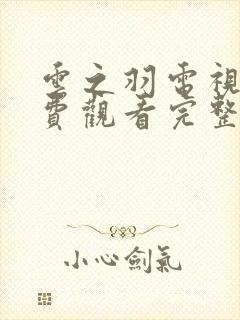 云之羽电视剧免费观看完整版11集封面