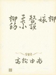 柳柔替嫁柳如烟的小说