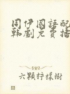 同伊国语配音的韩剧免费播放